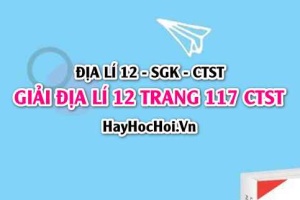 Giải Địa lí 12 trang 117 Chân trời sáng tạo SGK